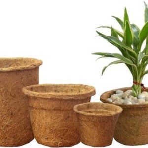 coco-coir-pot-500x500